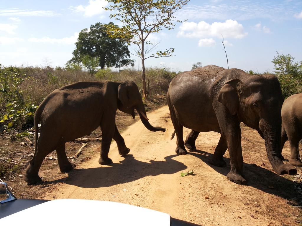 Happy Elephant Resort Udawalawe Exterior photo